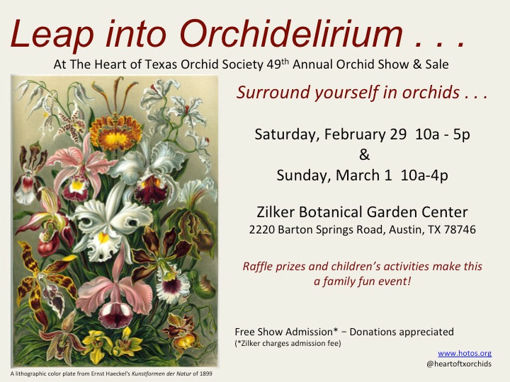 Events Heart Of Texas Orchid Society
